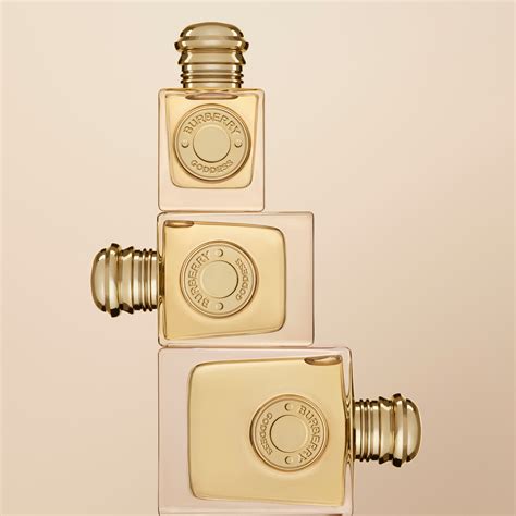 burberry brit travel size|burberry goddess travel size.